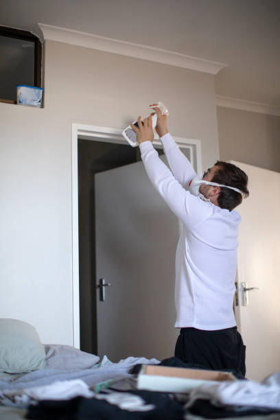 Best Mold Damage Restoration  in Fort Benton, MT