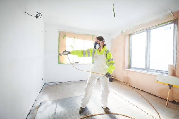 Mold Odor Removal Services in Fort Benton, MT