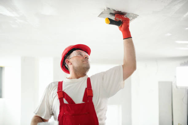 Best Mold Removal for HVAC Installations  in Fort Benton, MT