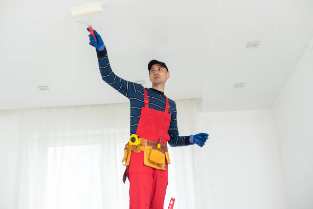 Best Black Mold Removal  in Fort Benton, MT